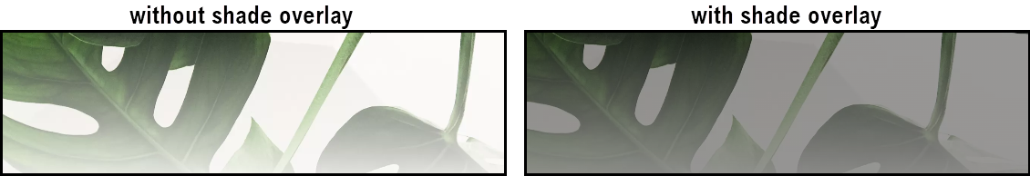 23-Mar-23_3-56-27_PM.png