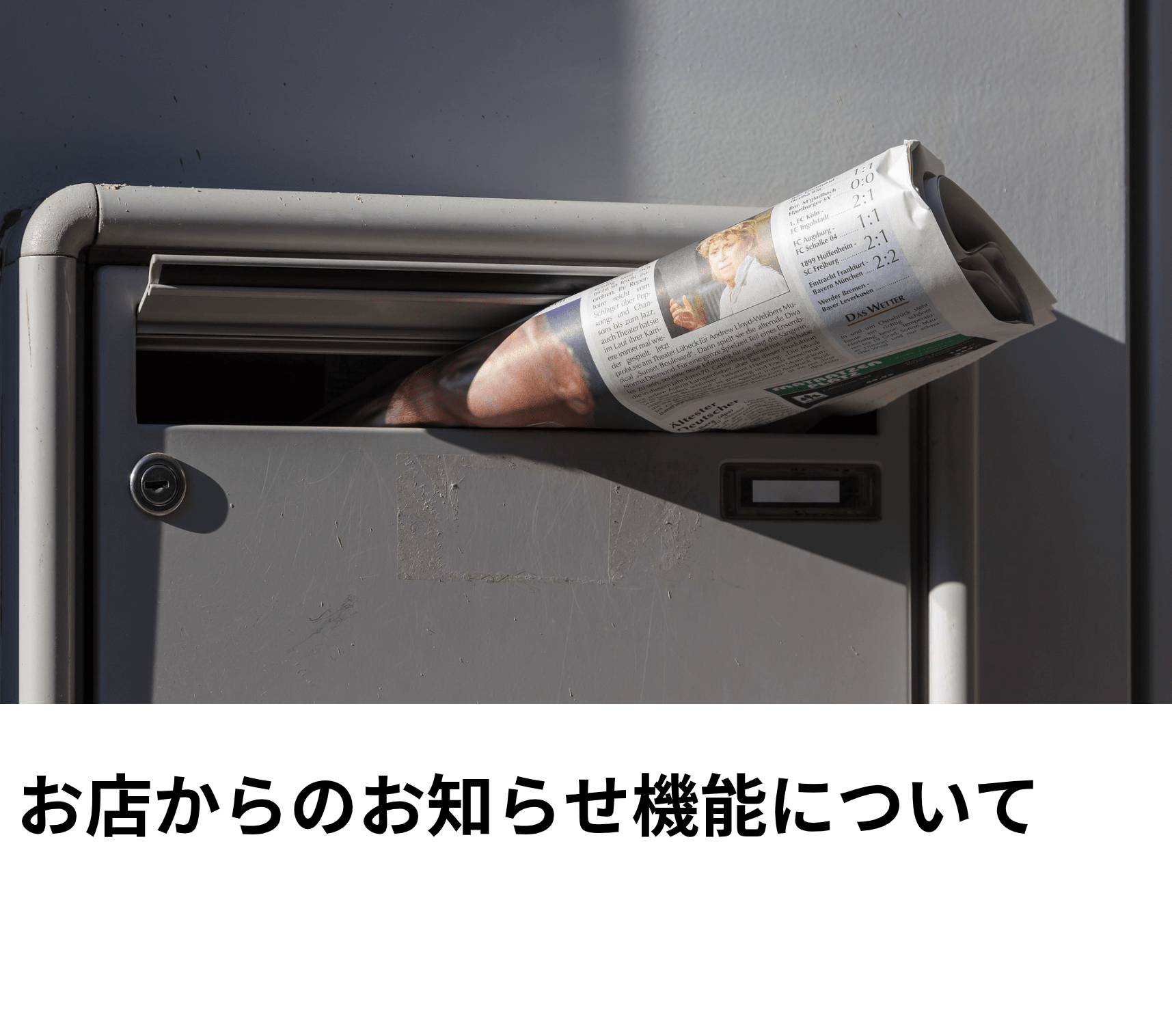 _____.png